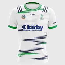 Image result for University Of Limerick Gaa Hurling Club