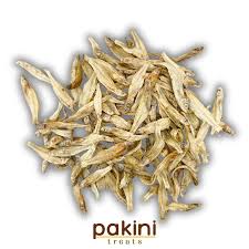 Attēlu rezultāti vaicājumam “Charales”