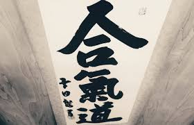 Image result for Fudokai Aikido Dojo