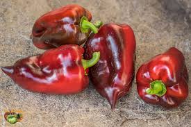 Afbeeldingsresultaat voor hungarian sweet apple sweet pepper