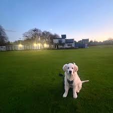 Image result for Vernon Carus Sports Club