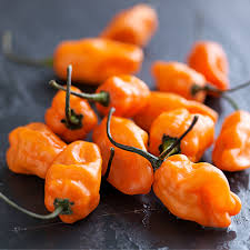 Afbeeldingsresultaat voor aji habanero hot pepper
