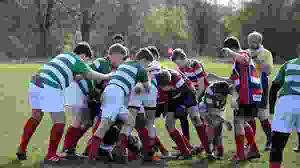 Image result for Watford Rugby Football Club