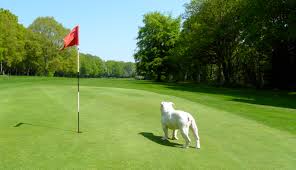 Image result for Chorleywood Golf Club Limited