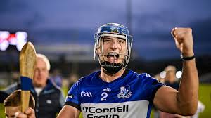 Image result for Sarsfields Hurling Club