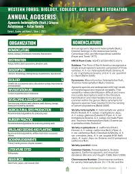 Image result for Agoseris major