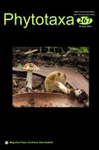 Attēlu rezultāti vaicājumam “Stemonitidaceae”