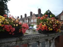 Image result for Courtaulds Halstead Bowling Club