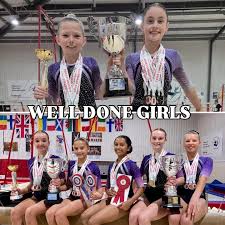 Image result for South Essex Gymnastics Club