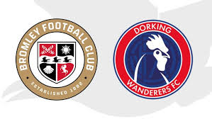 Image result for Dorking Football Club Limited