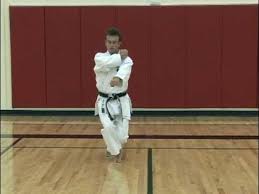 Image result for enpi dojo
