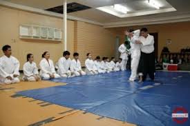 Image result for Aikido - Takama Hara Aikido Dojo