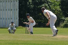 Image result for Theale and Tilehurst Cricket Club