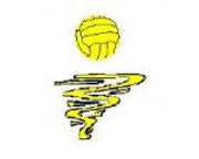 Image result for Blaze Netball Club