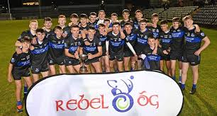 Image result for Patrick Sarsfield Gaelic Athletic Club