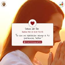 Image result for Salmo pellegrini