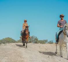 Image result for Oxford Riding Club