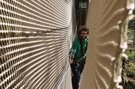 Image result for Go Ape! Whinlatter