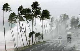 Image result for Tormenta Agatha