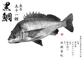 「魚拓」的圖片搜尋結果