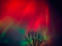 Image result for Northern