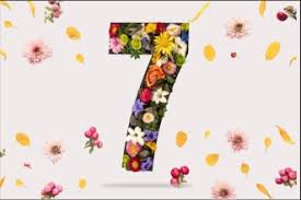 Image result for 7!!