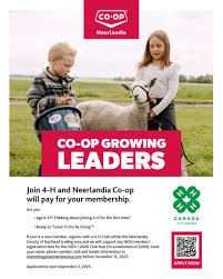 Image result for Teamsheep