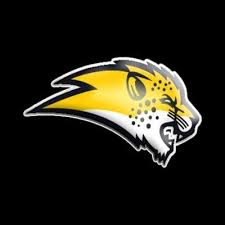 Image result for Chiltern Cheetahs