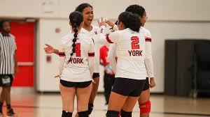 Image result for York University Volleyball Club