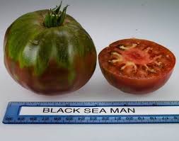 Afbeeldingsresultaat voor black sea man tomato
