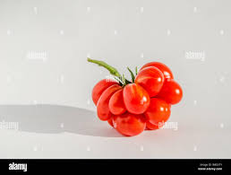 Afbeeldingsresultaat voor voyage tomato
