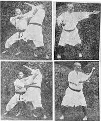 Image result for British Karate Shunen Jutsu