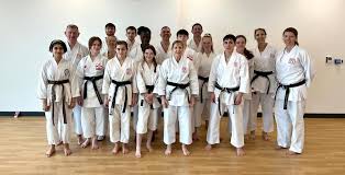 Image result for Soncho Karate Club