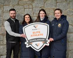 Image result for Ballyhegan Davitts Gaa Club