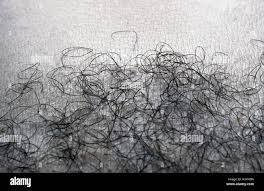 Image result for schamhaar