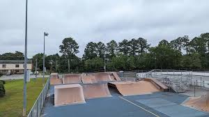 Image result for Skate Extreme