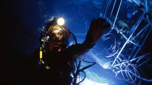 Image result for Abyss Dive Club