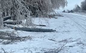 Image result for ice storm