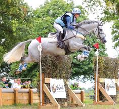 Image result for Chiddingfold Branch Of The Pony Club