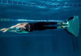 Image result for Swansea Finswimming Club
