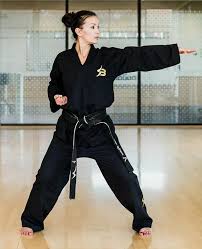 Image result for Bytomic Taekwondo