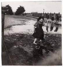 「Heinrich Zille」的圖片搜尋結果