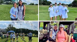 Image result for Ffestiniog Golf Club