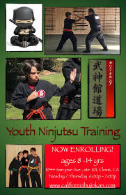 Image result for Bujinkan Swindon Dojo