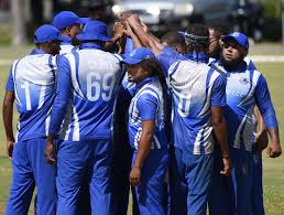 Image result for Battle Cricket Club