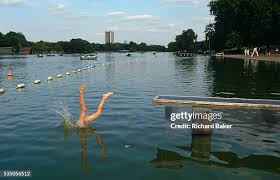 Image result for Serpentine Swimming Club