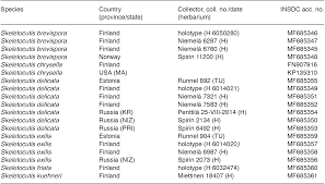 Attēlu rezultāti vaicājumam “Skeletocutis brevispora”