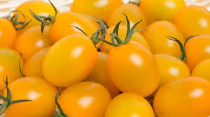 Afbeeldingsresultaat voor blushing yellow tomato