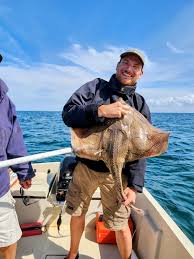 Image result for Raja undulata