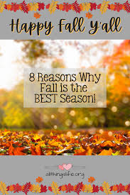 Bildergebnis für Fall…